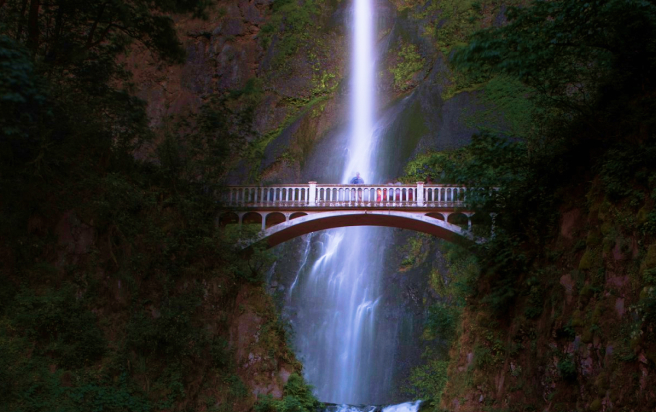 Celebrate the team and our journey